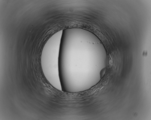 X0000091500819200708161232