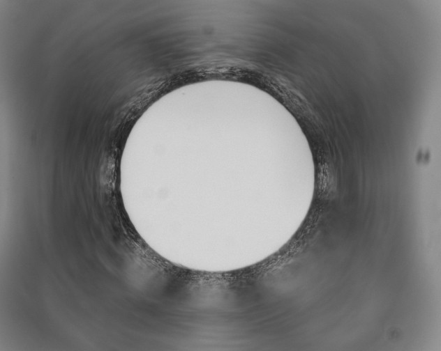 X0000091500820200708161232
