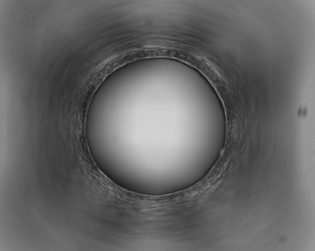 X0000091500821200708161232