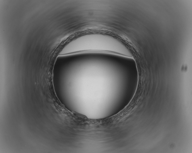 X0000091500822200708161232
