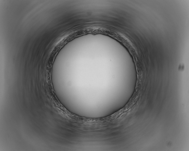 X0000091500823200708161232
