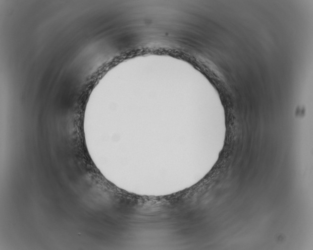 X0000091500824200708161232