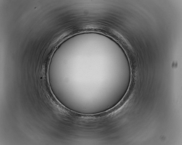 X0000091500825200708161232