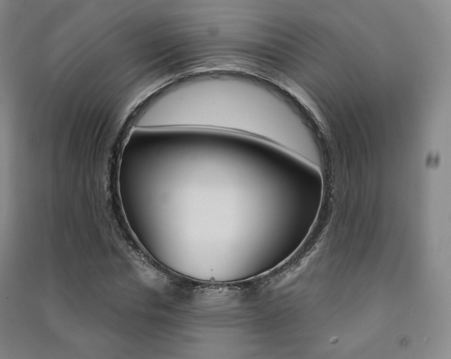 X0000091500826200708161232