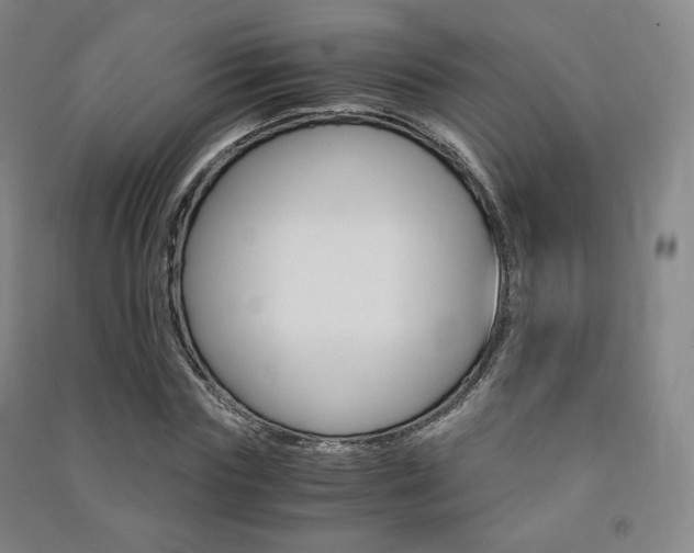 X0000091500827200708161232
