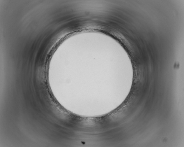 X0000091500828200708161232