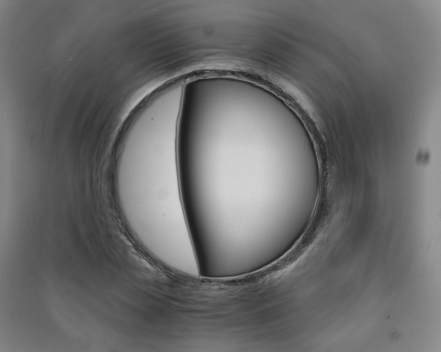 X0000091500829200708161232