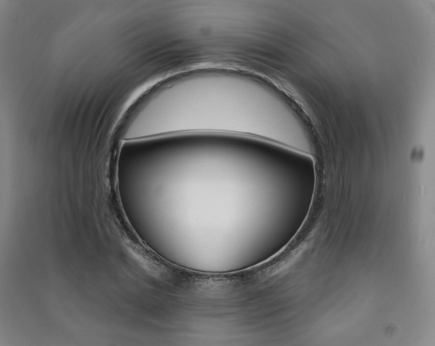 X0000091500830200708161232