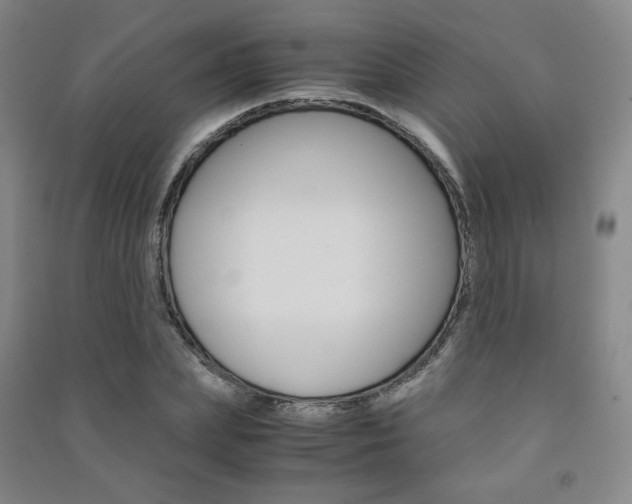 X0000091500831200708161232