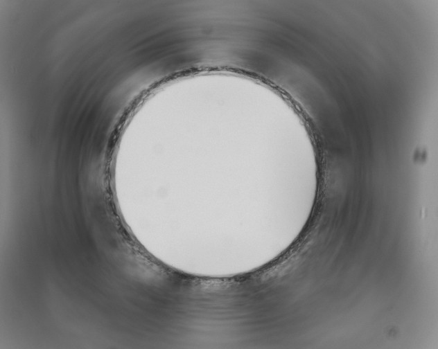 X0000091500832200708161232