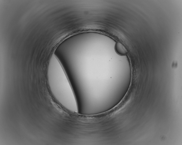 X0000091500833200708161232