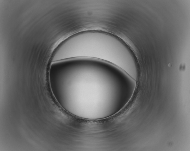 X0000091500834200708161232