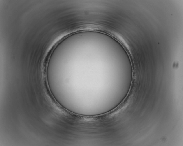 X0000091500835200708161232
