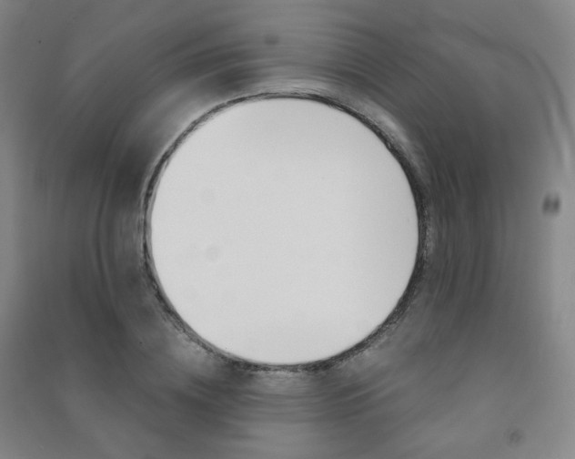 X0000091500836200708161232