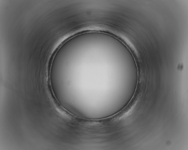 X0000091500837200708161232