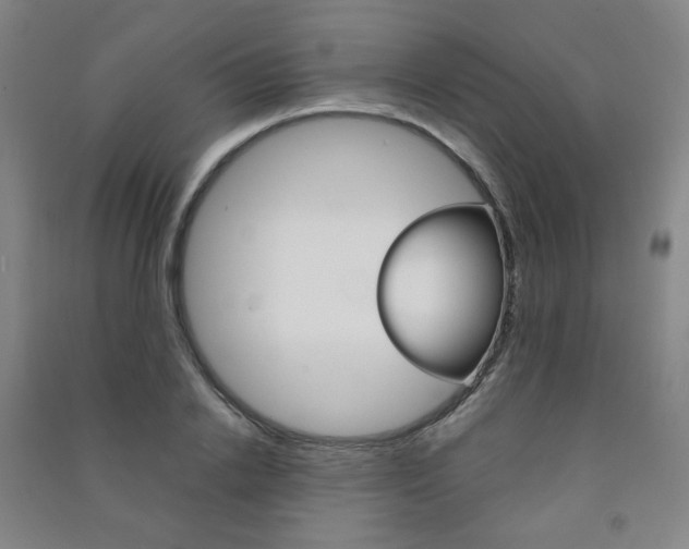 X0000091500838200708161232