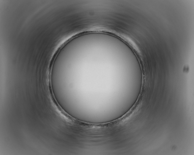 X0000091500839200708161232