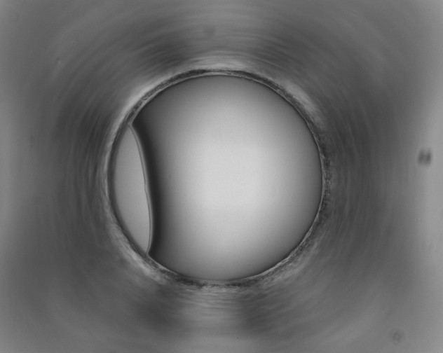 X0000091500840200708161232