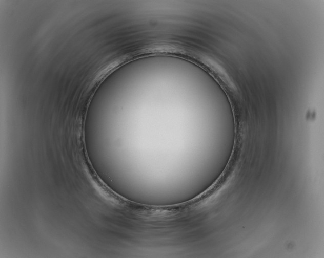 X0000091500841200708161232