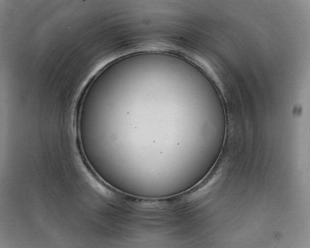 X0000091500843200708161232