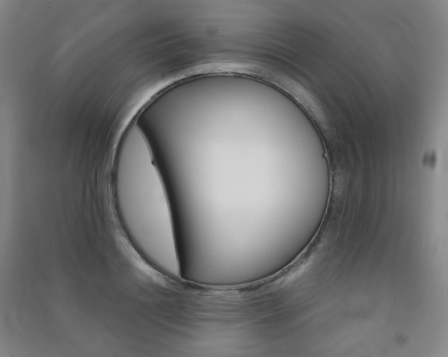 X0000091500844200708161232