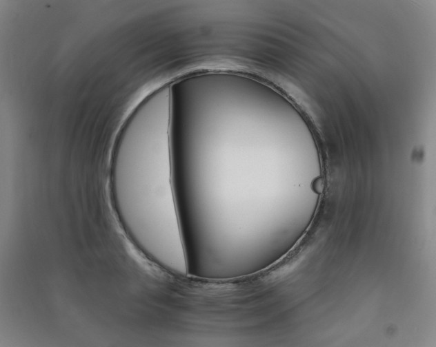 X0000091500845200708161232