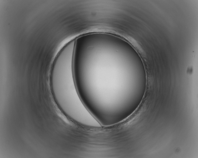 X0000091500846200708161232