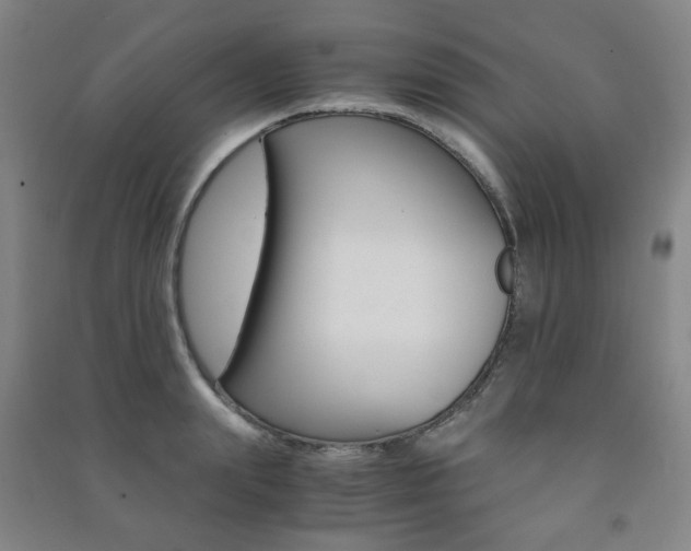 X0000091500847200708161232