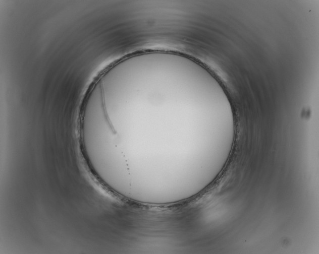 X0000091500848200708161232