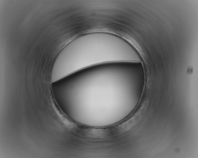 X0000091500849200708161232
