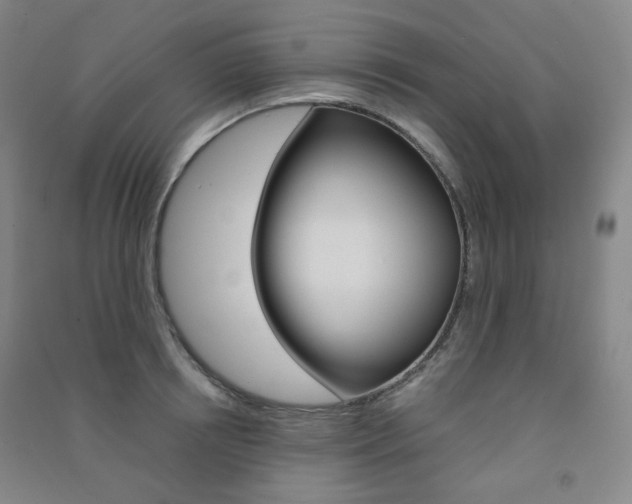 X0000091500850200708161232
