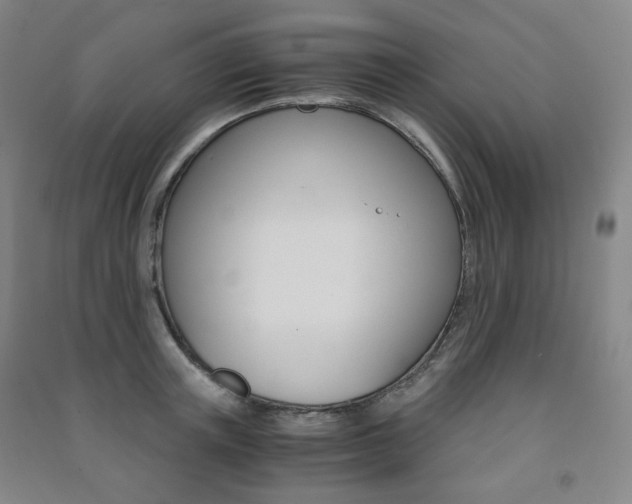 X0000091500851200708161232