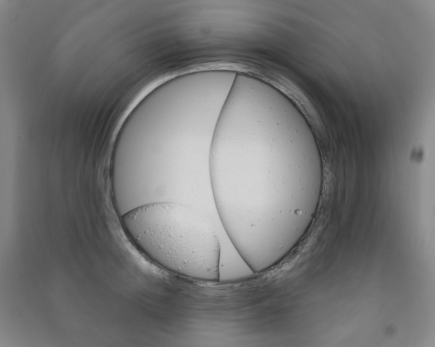 X0000091500852200708161232