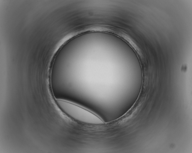 X0000091500853200708161232