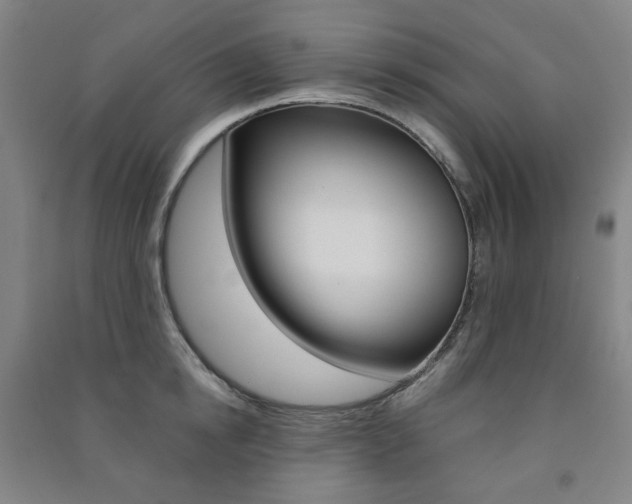 X0000091500854200708161232