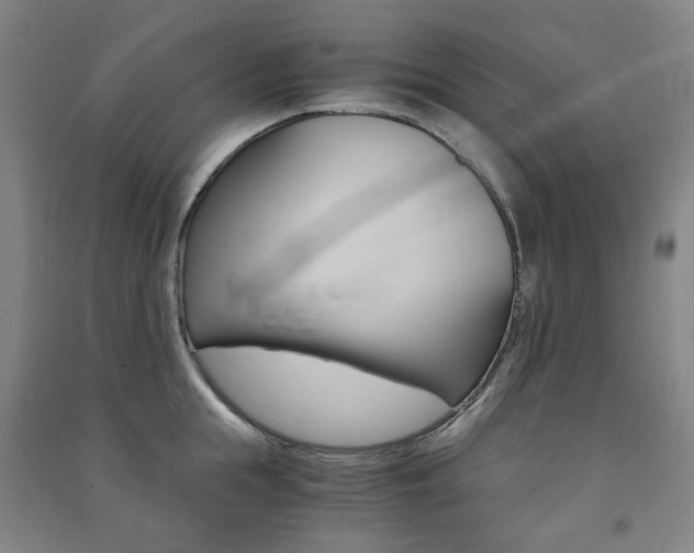 X0000091500855200708161232