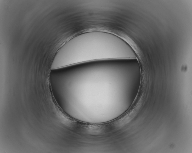X0000091500857200708161232