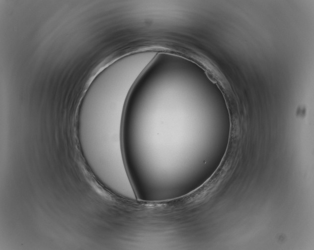 X0000091500858200708161232