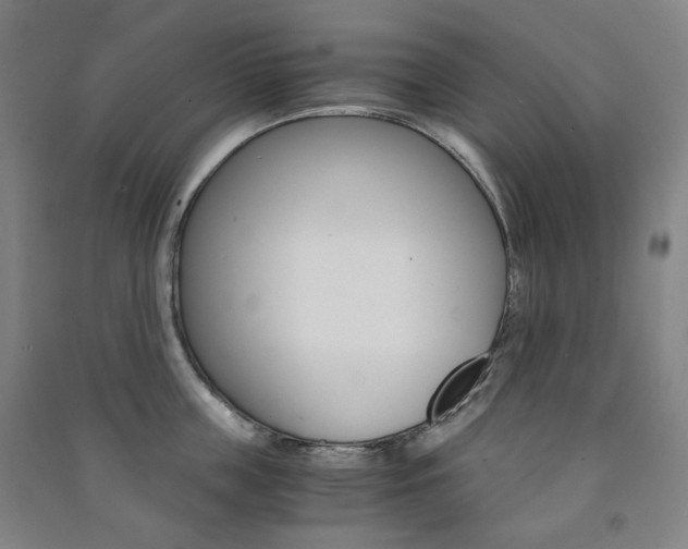 X0000091500859200708161232