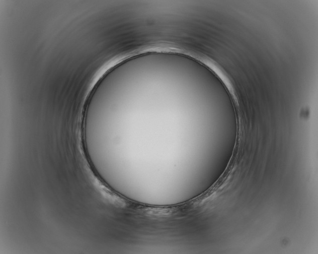 X0000091500861200708161232