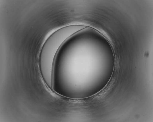 X0000091500862200708161232