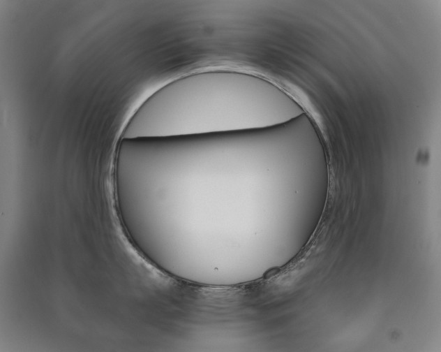 X0000091500863200708161232