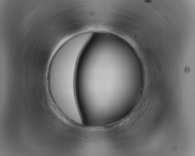 X0000091500864200708161232