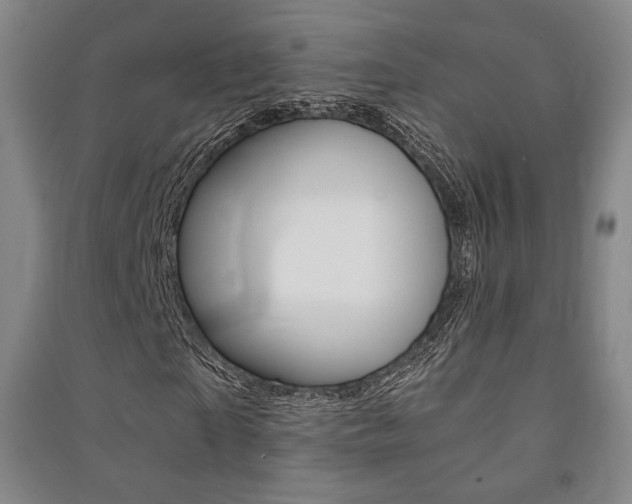 X0000091500865200708161232