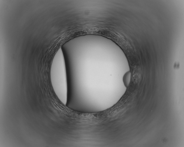 X0000091500866200708161232