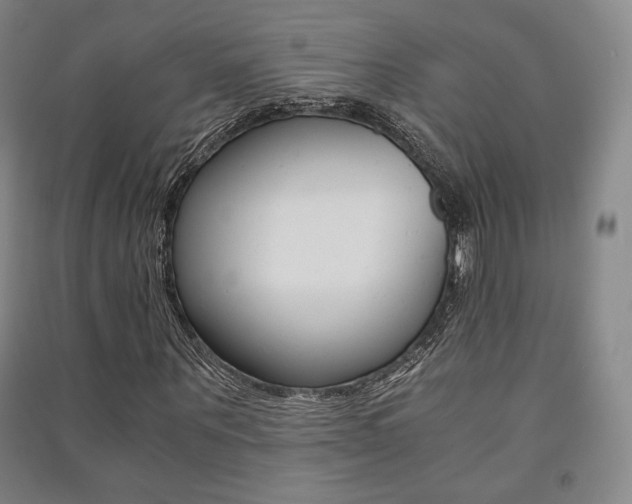 X0000091500867200708161232