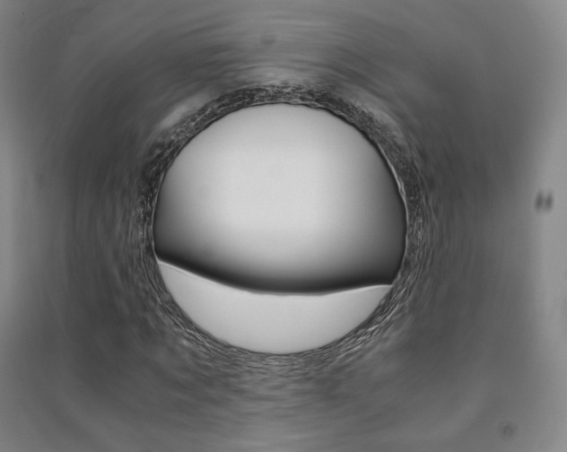 X0000091500869200708161232