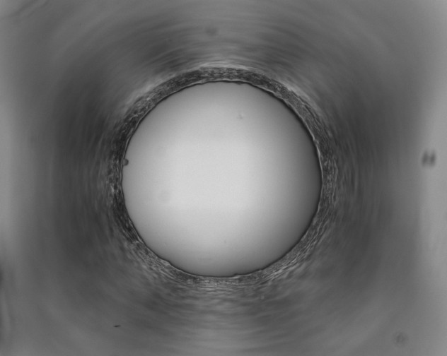 X0000091500870200708161232