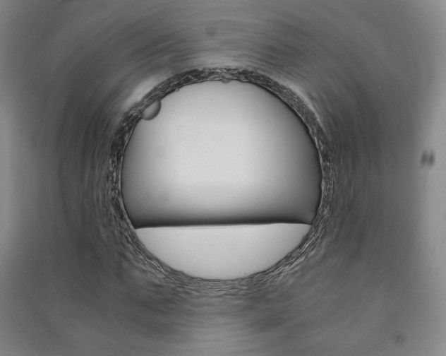 X0000091500871200708161232