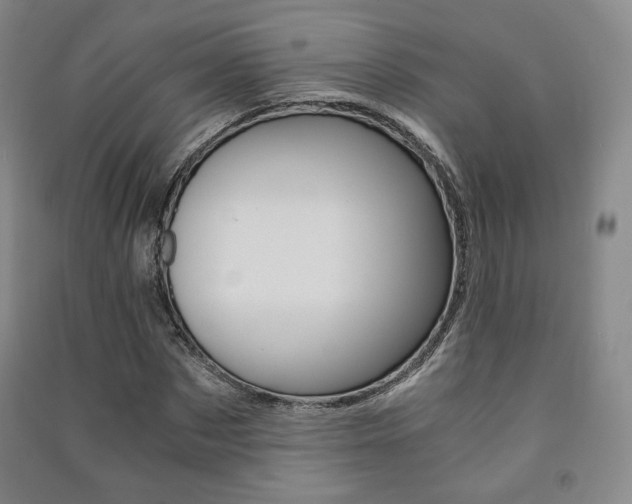 X0000091500873200708161232